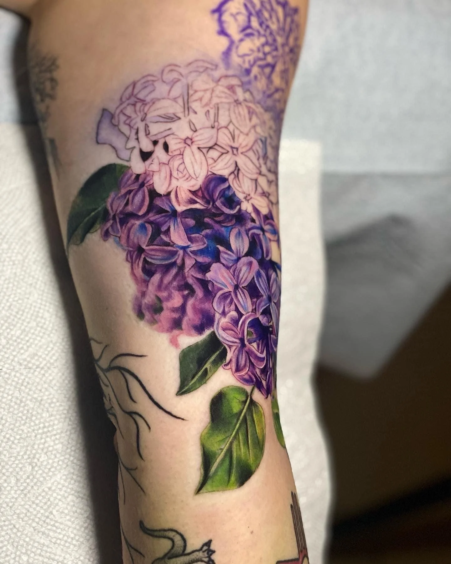 Colorful tattoo of purple and pink hydrangea flowers with green leaves on person's arm.
