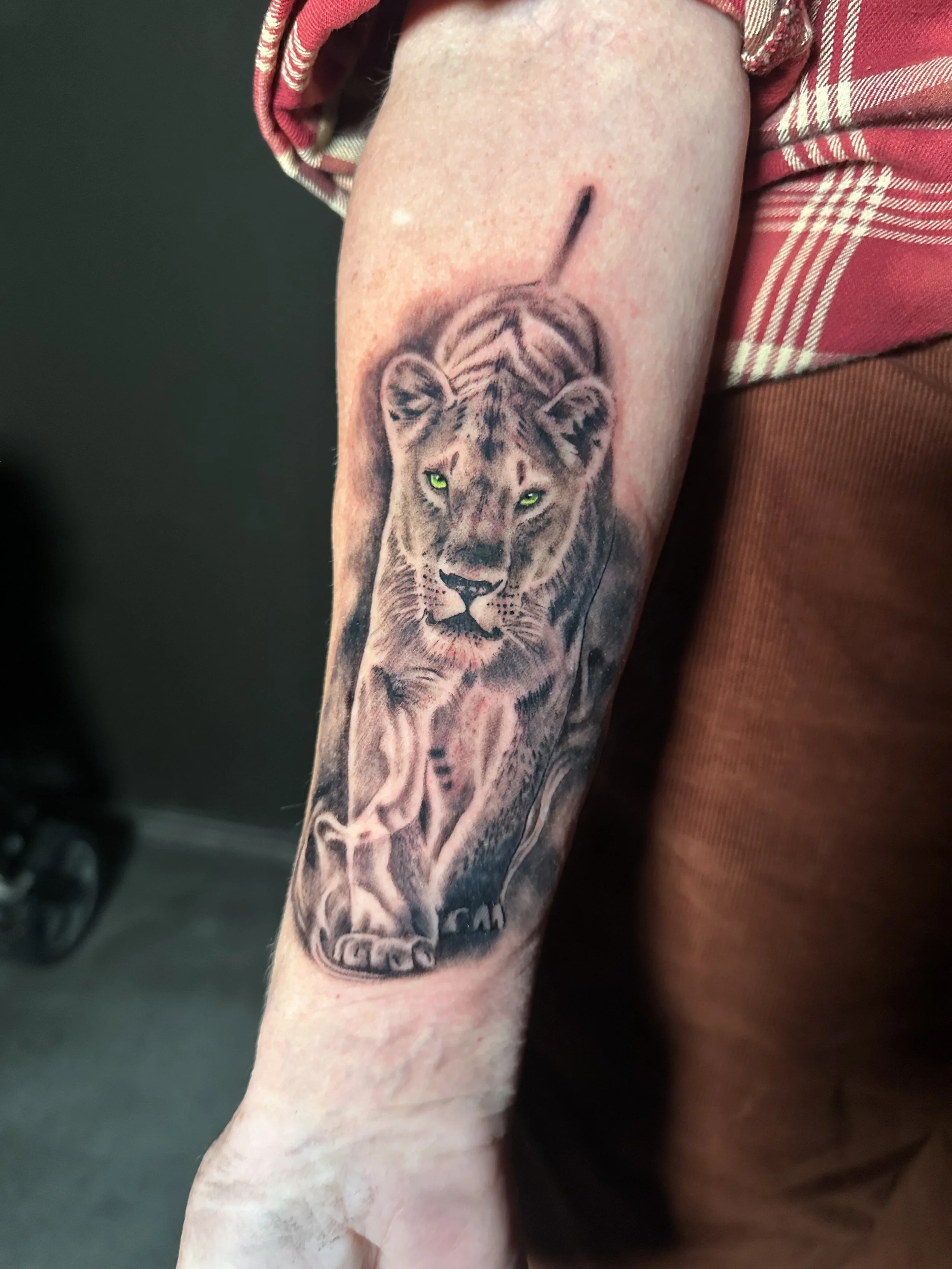 Tattoo of a realistic lion cub with piercing green eyes on a person's forearm.