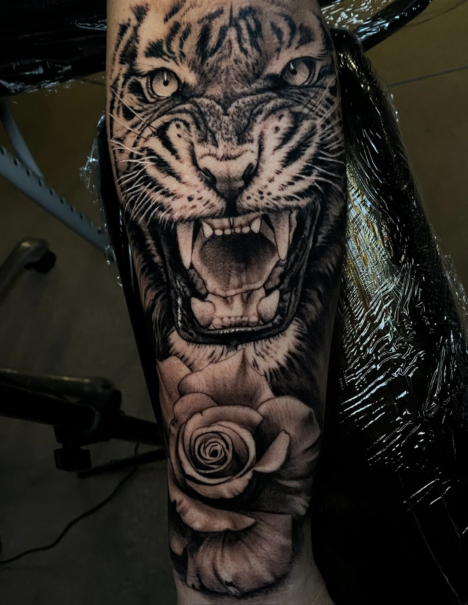 Black and grey realistic tattoo of a roaring tiger's face above a detailed rose on a person's arm.