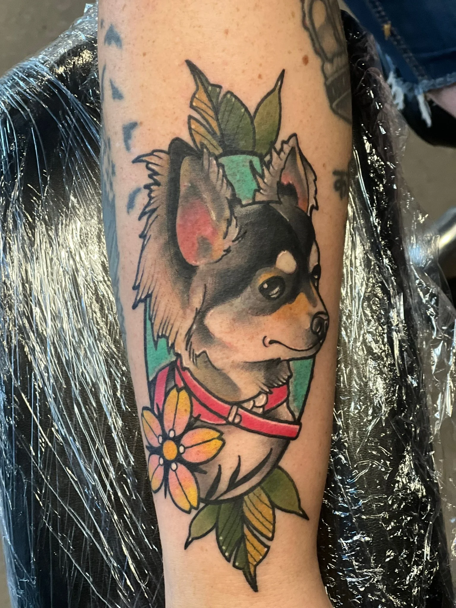 Tattoo of a dog with a red collar, surrounded by leaves and a flower, on a person's arm.