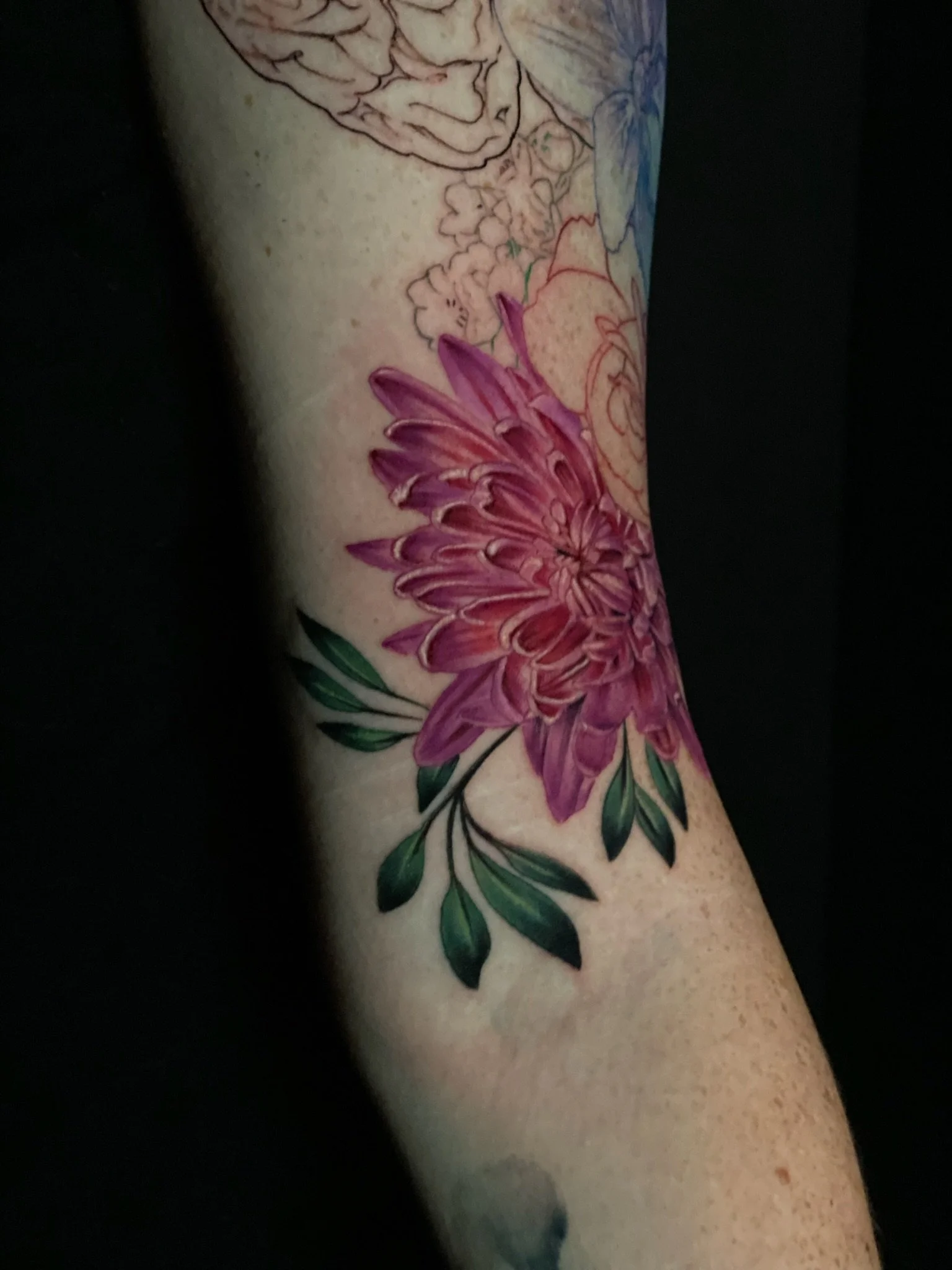 Close-up of a tattoo of a pink and purple chrysanthemum flower with green leaves on a person's arm.