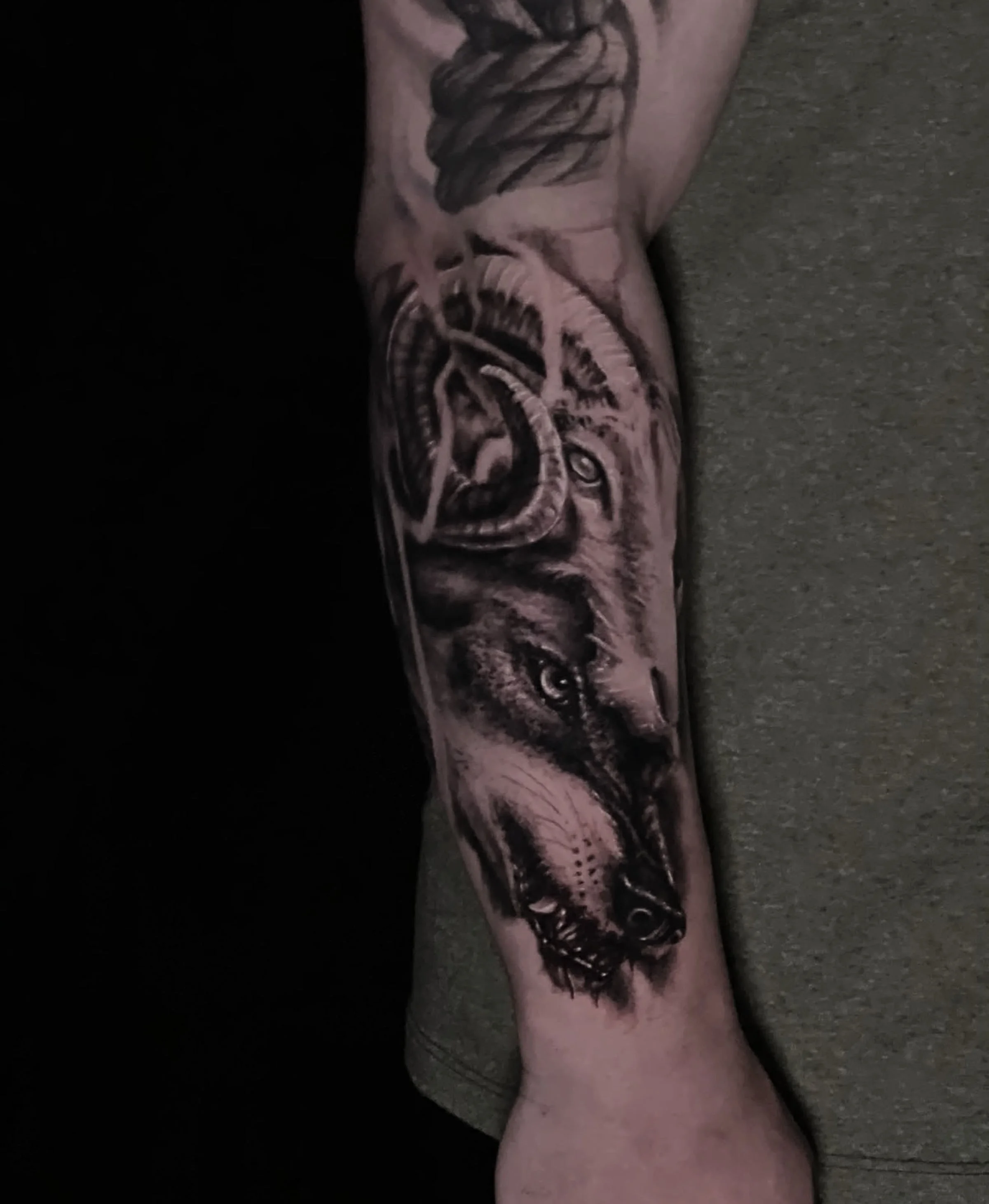Tattoo of a woman's face with a peacock feather or design on her head, on a person's inner arm.