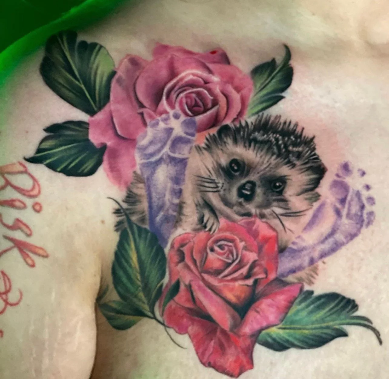 Tattoo of a hedgehog surrounded by pink and purple roses with green leaves.