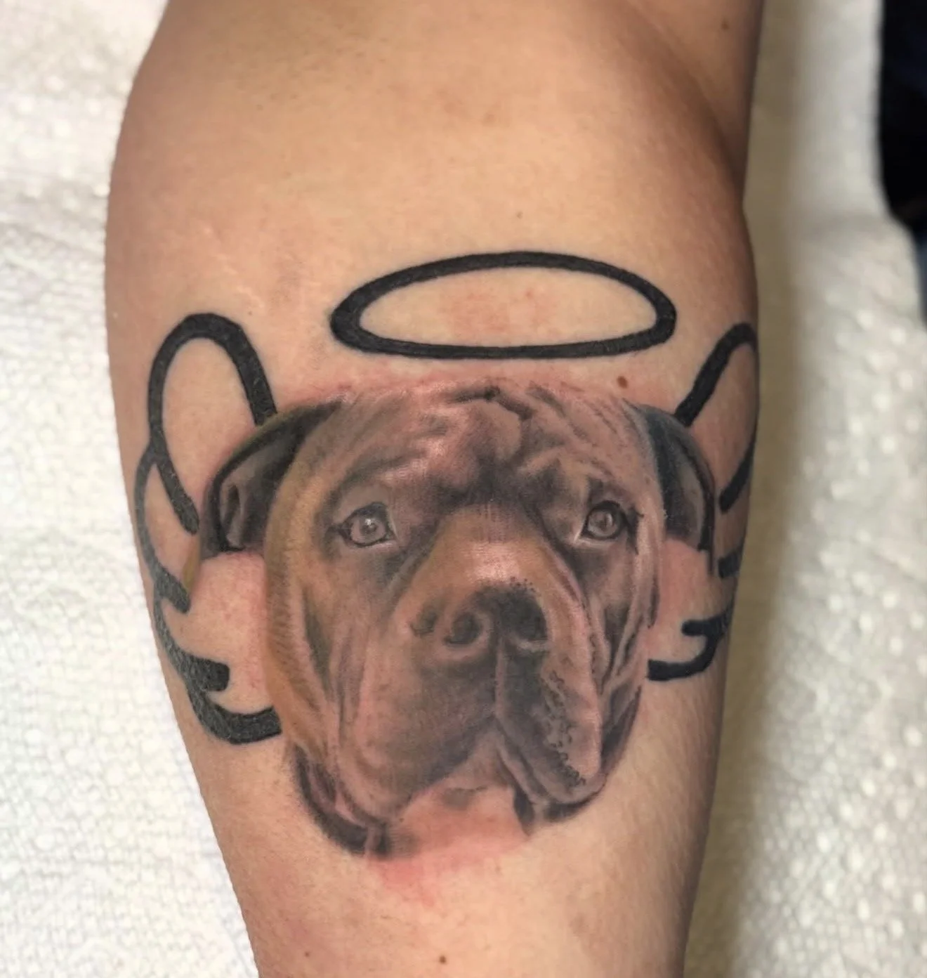 Tattoo of a realistic dog’s face with a halo above, surrounded by black written text.