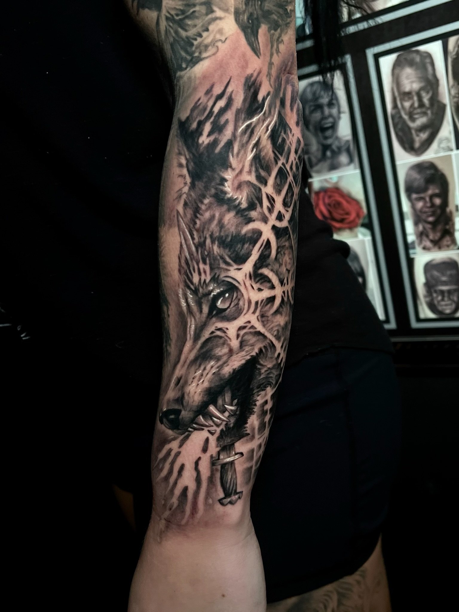 Tattoo of a fierce wolf's face with bared teeth on a person's arm.