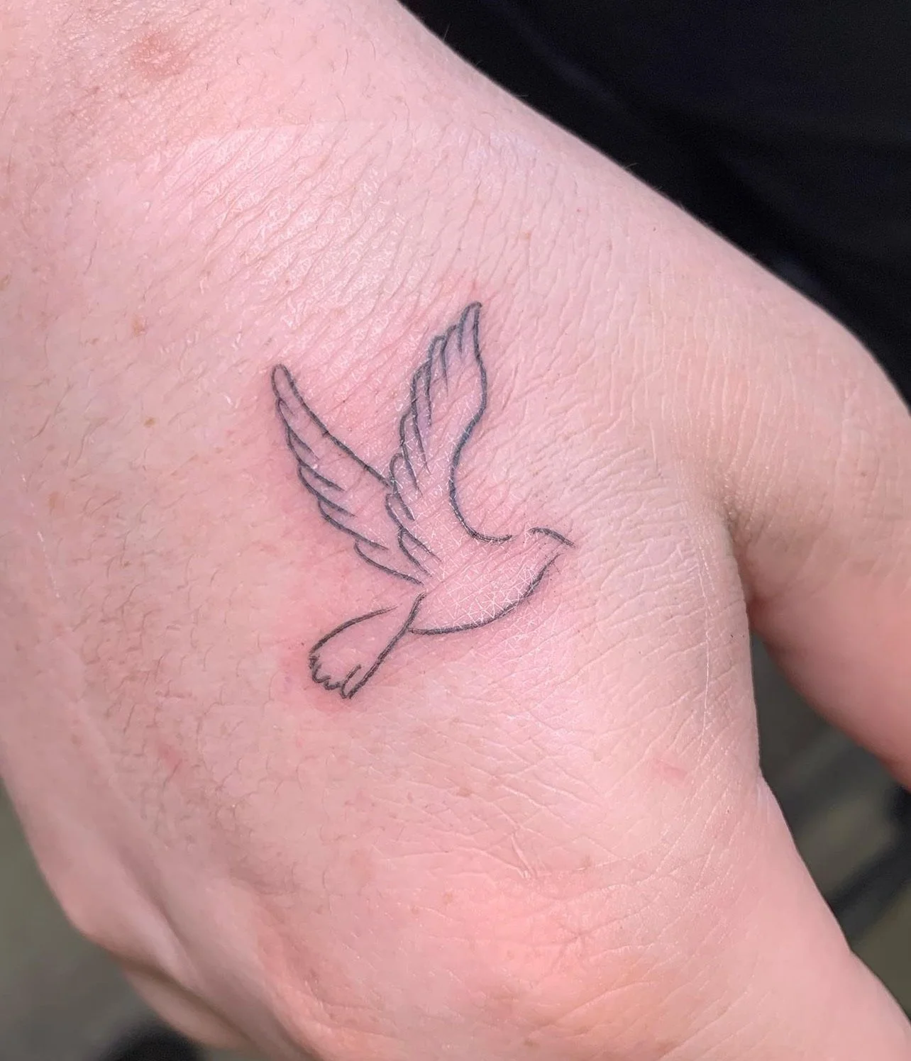 A tattoo of a simple, thin-lined outline of a flying bird on a person's skin.