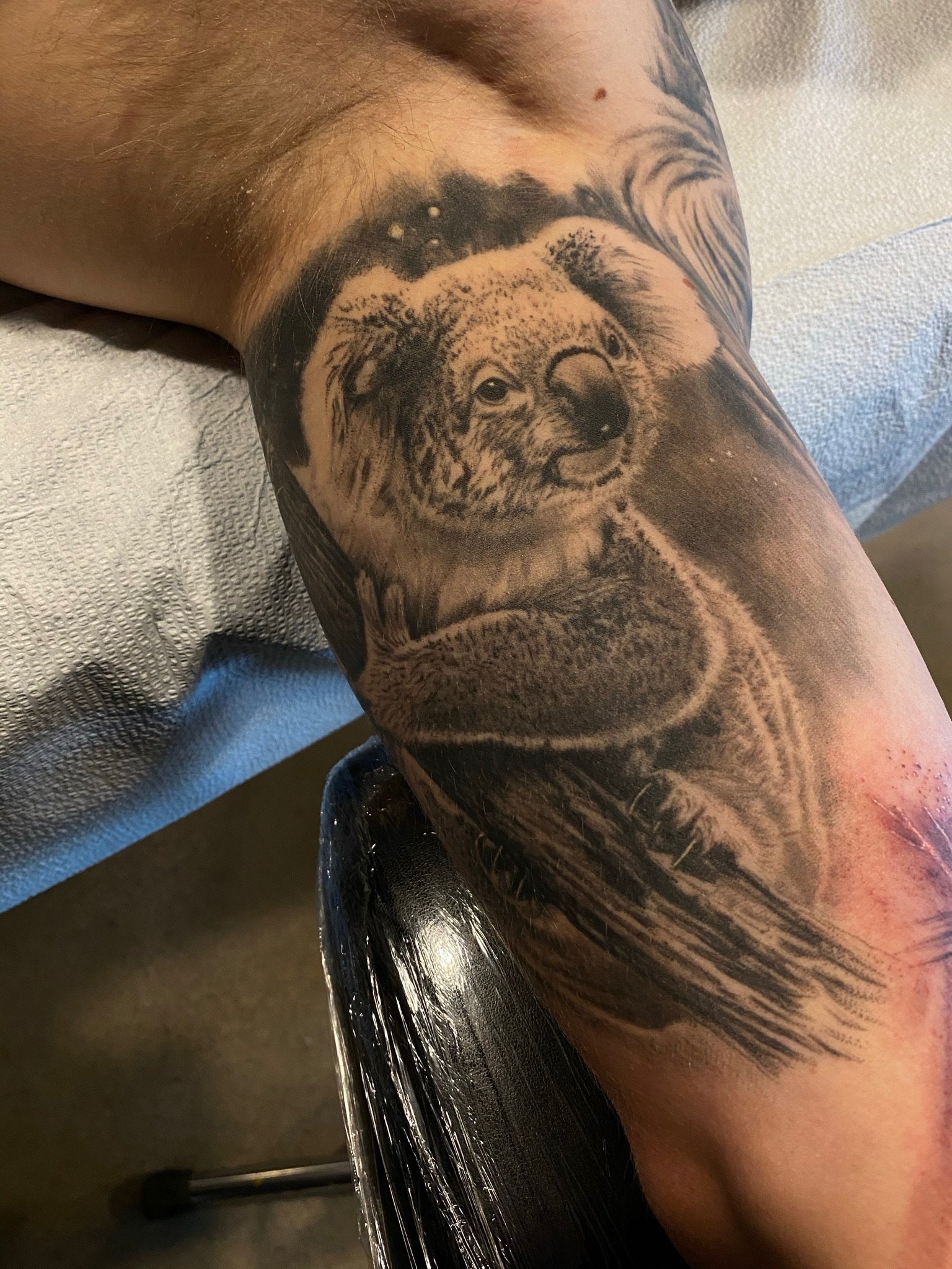 Black and gray tattoo of a koala bear on a person's upper arm.