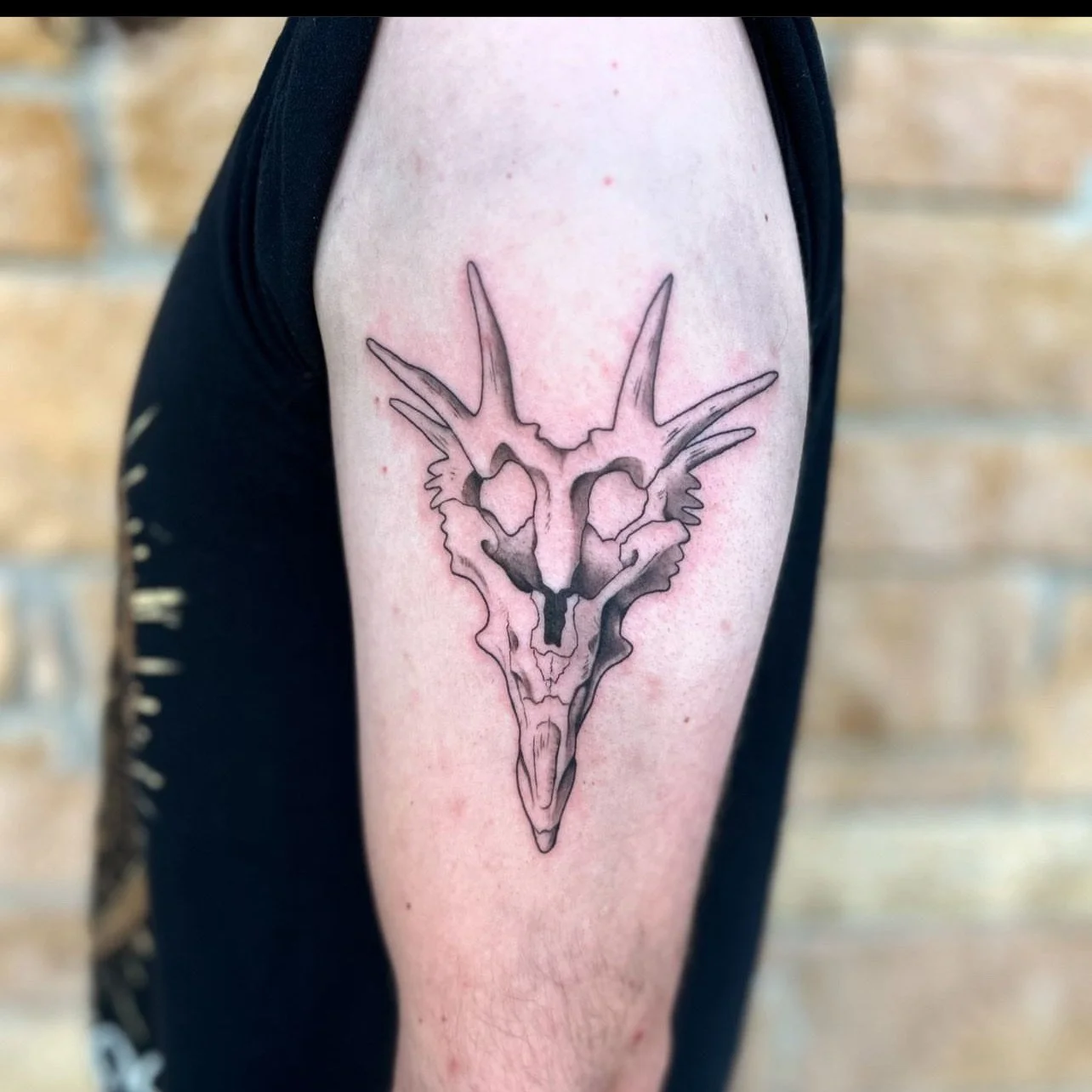 Tattoo of a stylized goat skull with antlers on person's upper arm, outlined in black.
