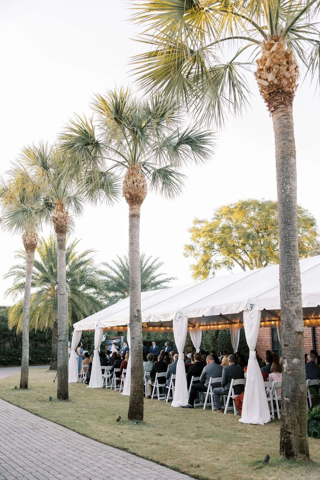 An outdoor event under a white tent with people seated on white chairs, surrounded by tall palm trees and flowering trees in a warm climate setting.