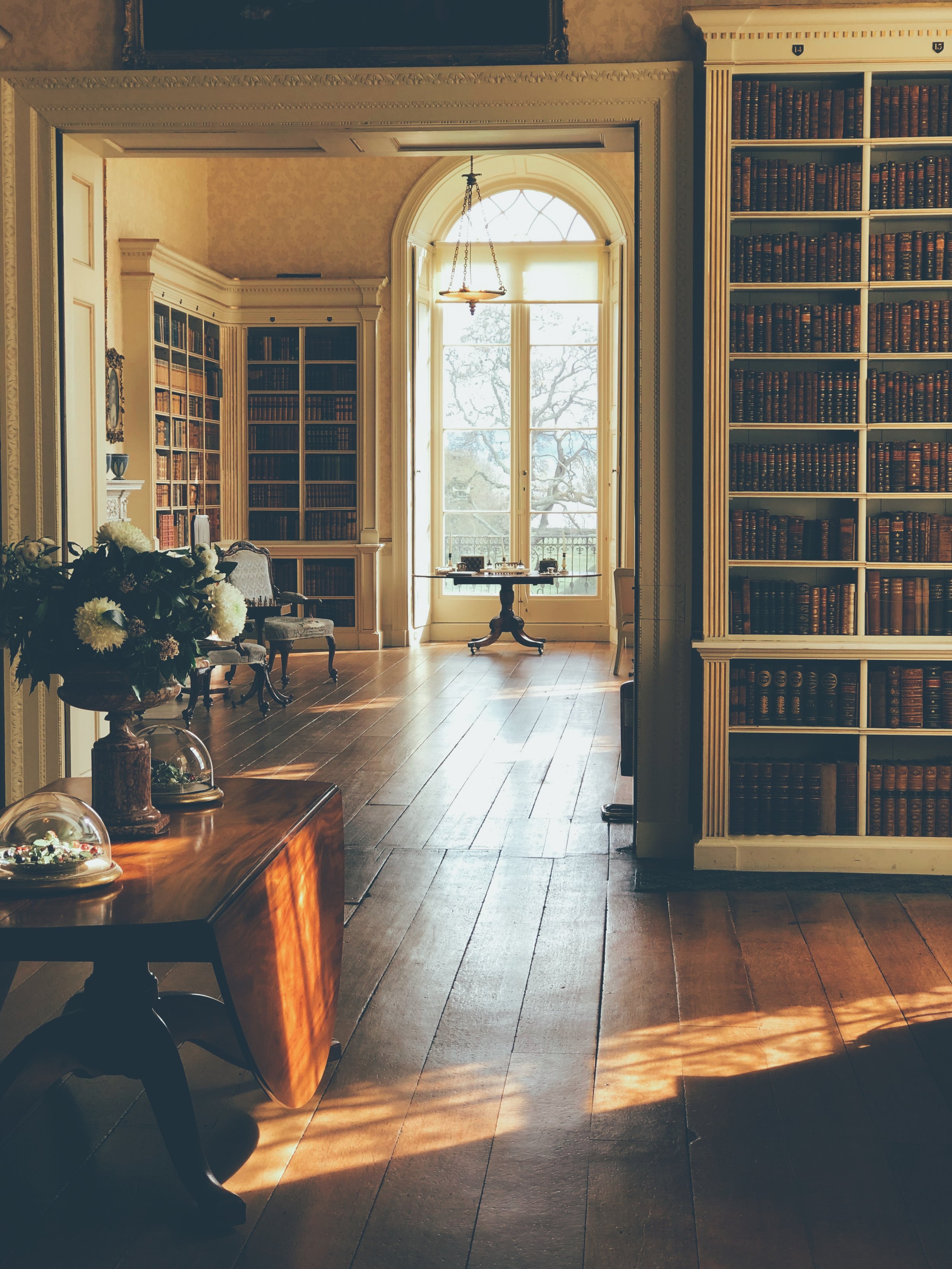 A bright library room at Powderham Castle with large window, wooden bookshelves filled with books, and classic furniture. Sunlight filters through, creating warm shadows.