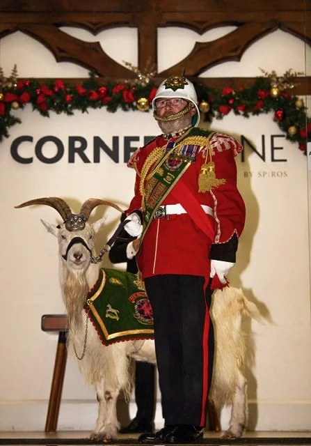 A man dressed in British royal guard uniform with a red coat, black trousers, and a tall hat, standing next to a goat wearing ceremonial attire. The background has Christmas decorations and a sign with the words 'CORNER' visible.