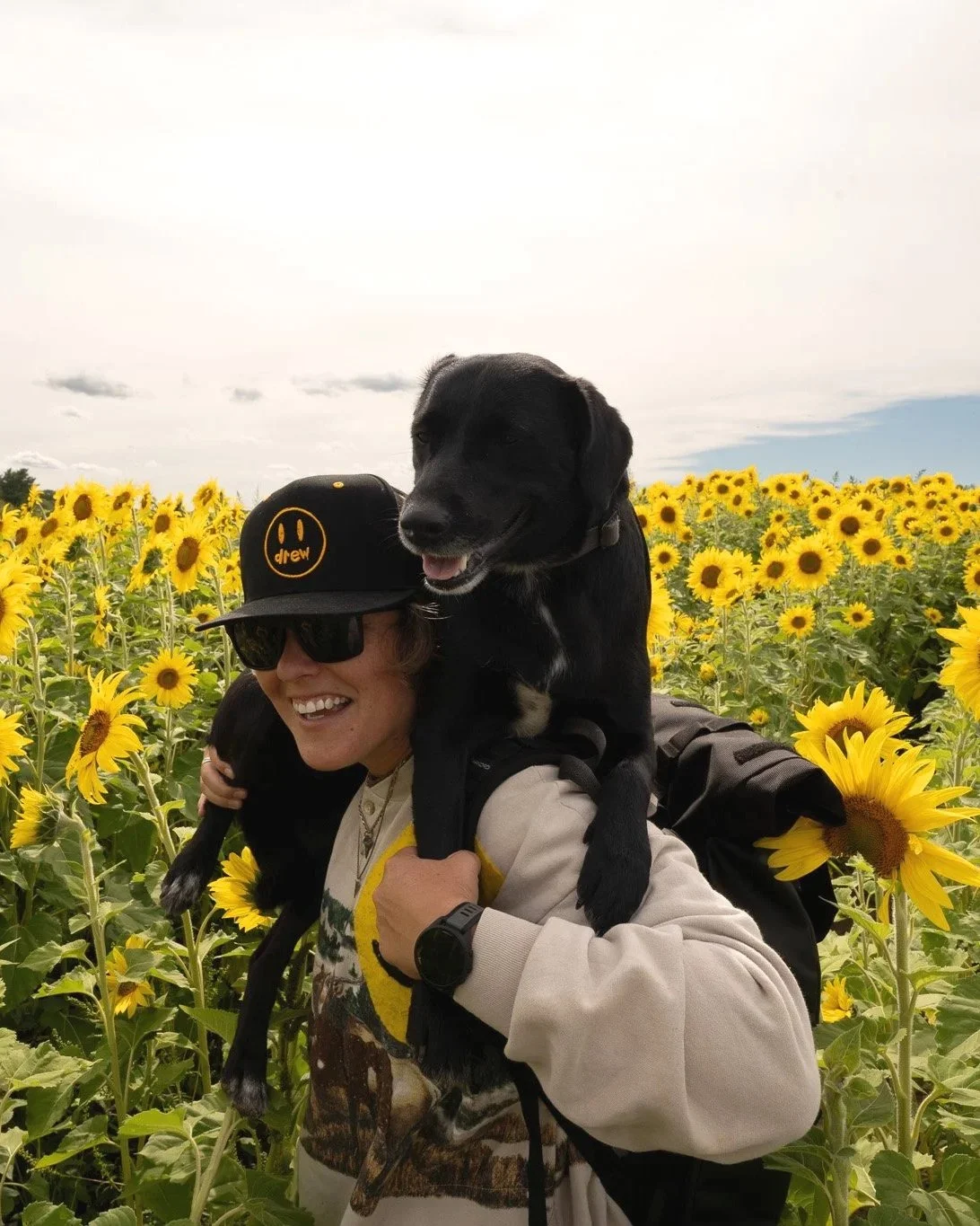 HT's Vision. Branding. Musicians. Hype.