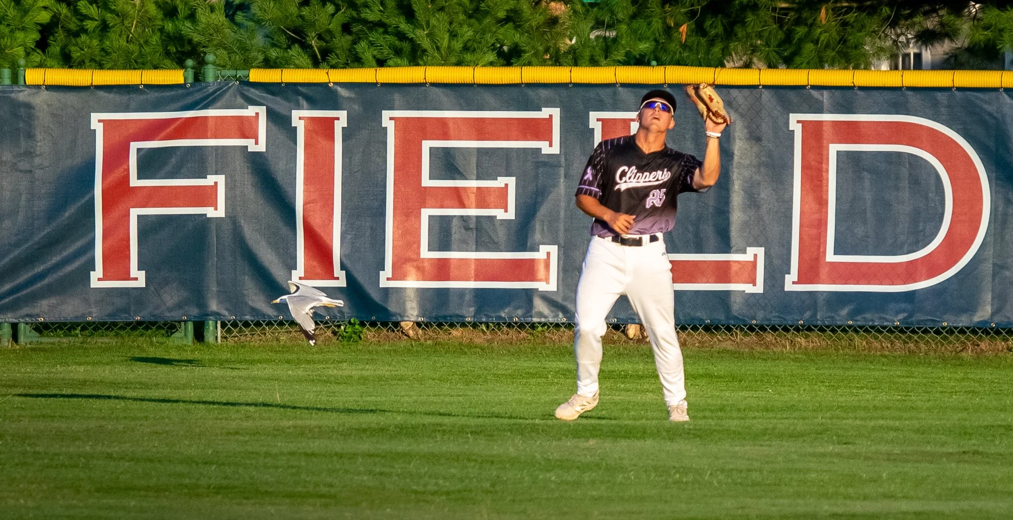 CCC Game 26-51.jpg