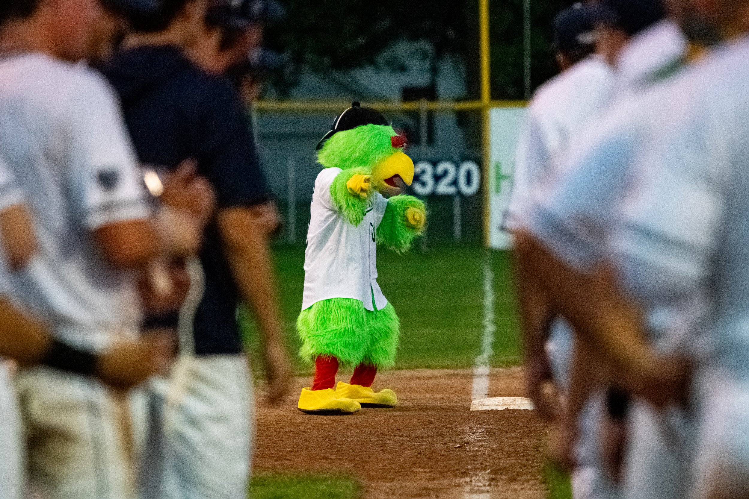 Locos Game 1-84.jpg