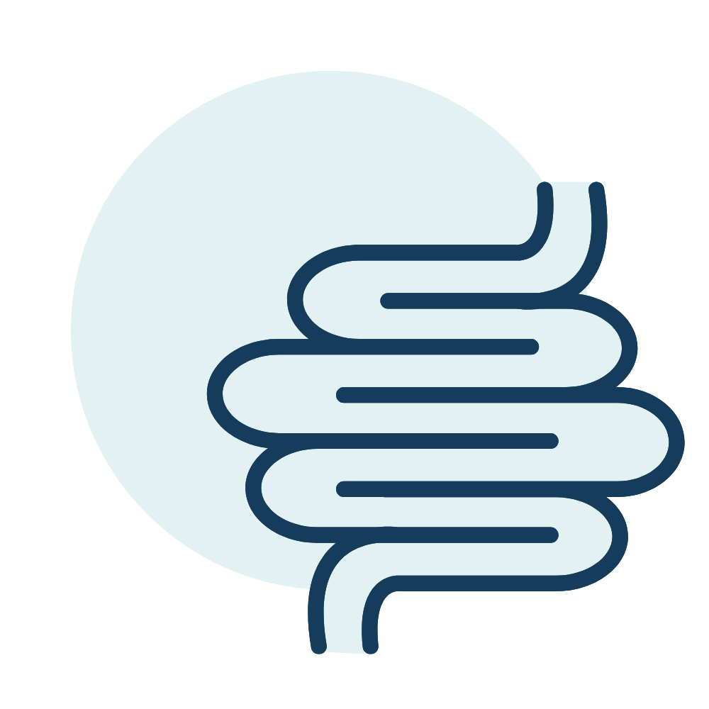 intestines icon
