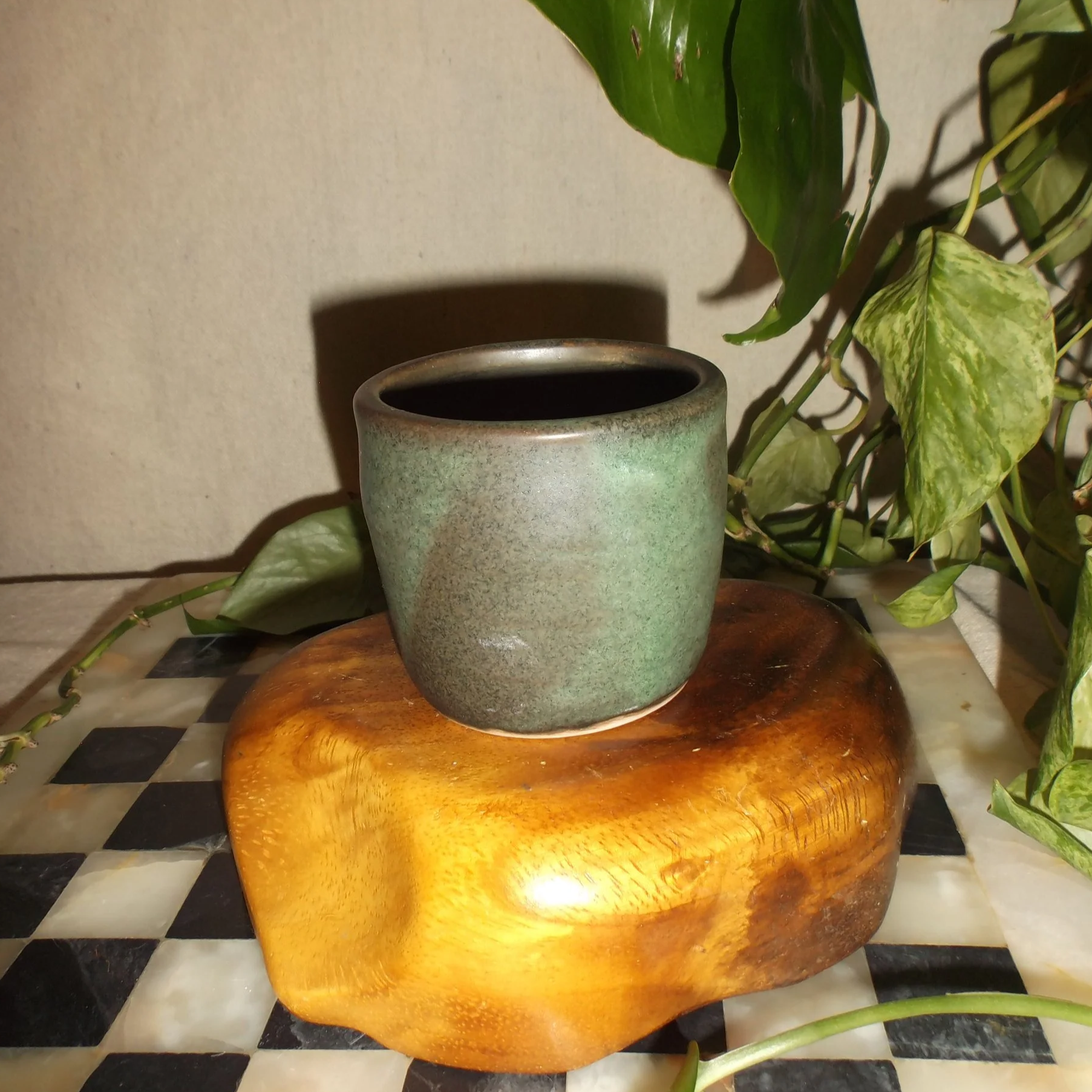 stout pine cappuccino mug