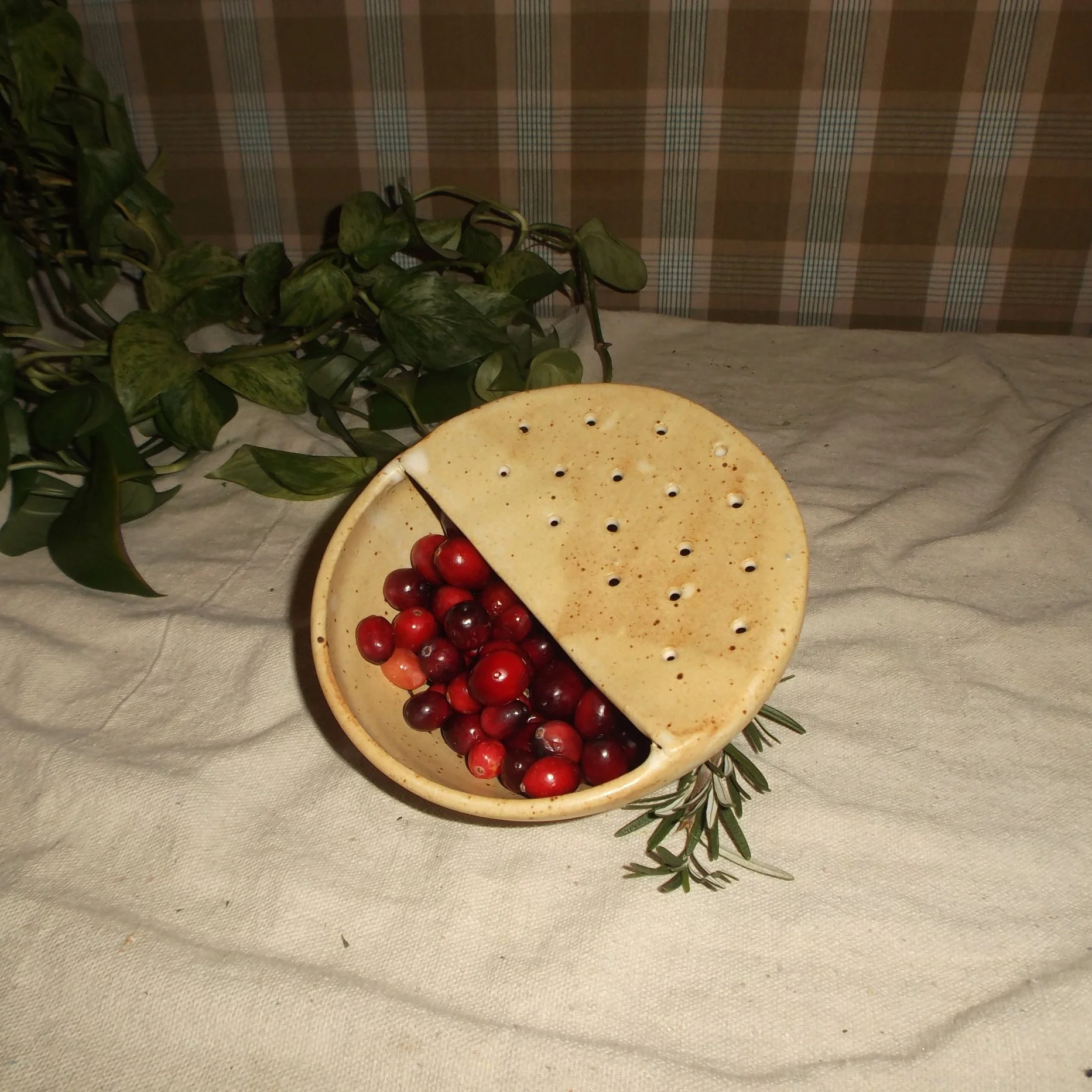 speckled berry strainer