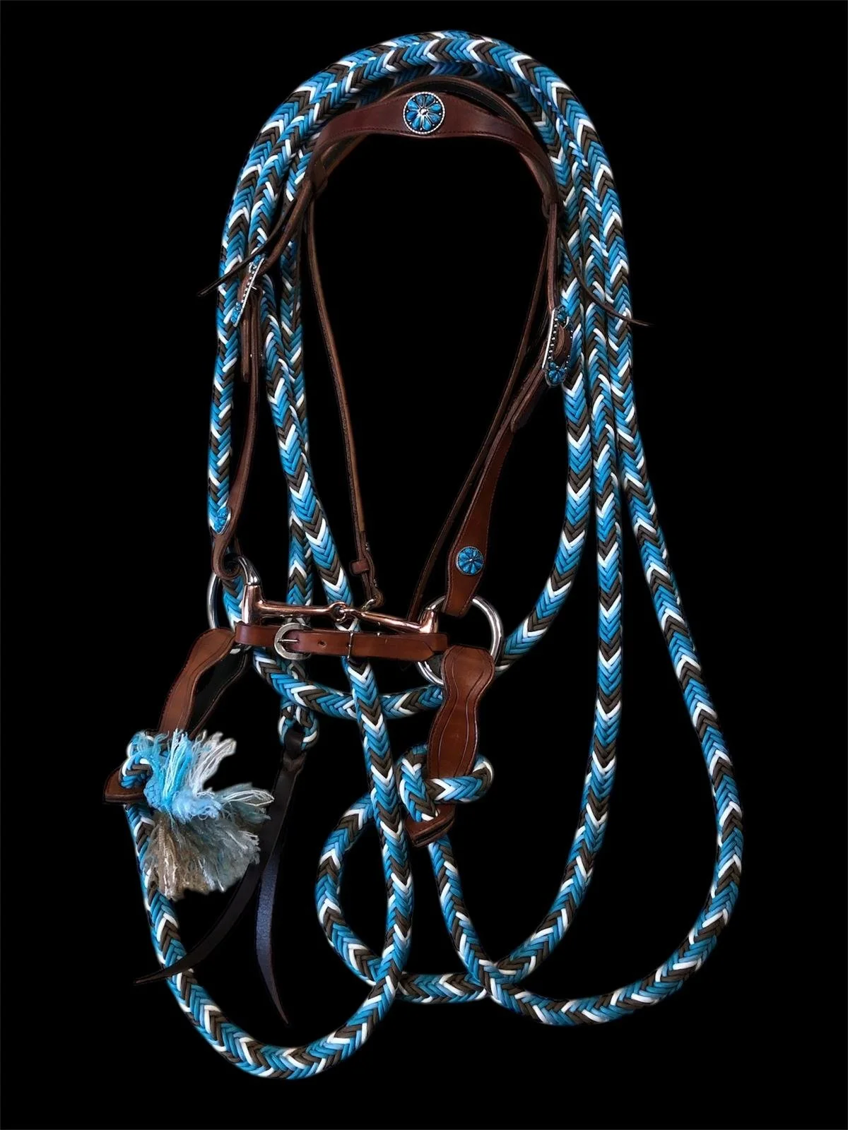headstall with mecate reins
