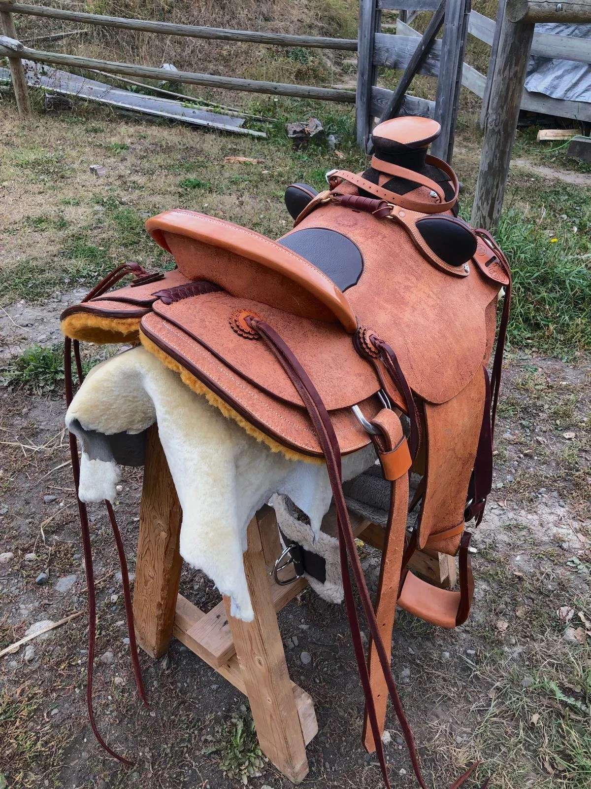 WhatsApp Image 2025-12-11 at 17.42.00_a7e2abc3.jpg