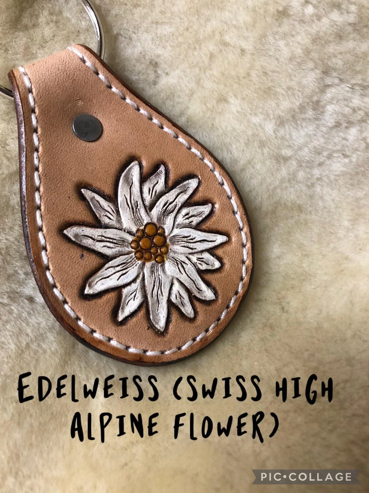 WhatsApp Image 2025-12-14 at 21.20.59_fcb6ba83.jpg