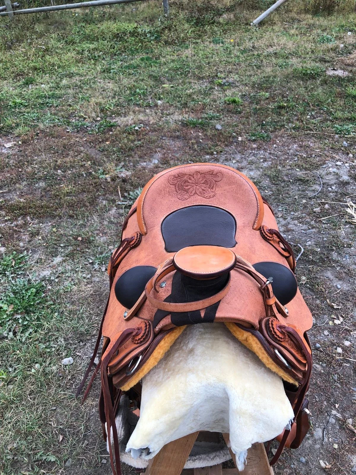 WhatsApp Image 2025-12-11 at 17.42.00_607d4690.jpg