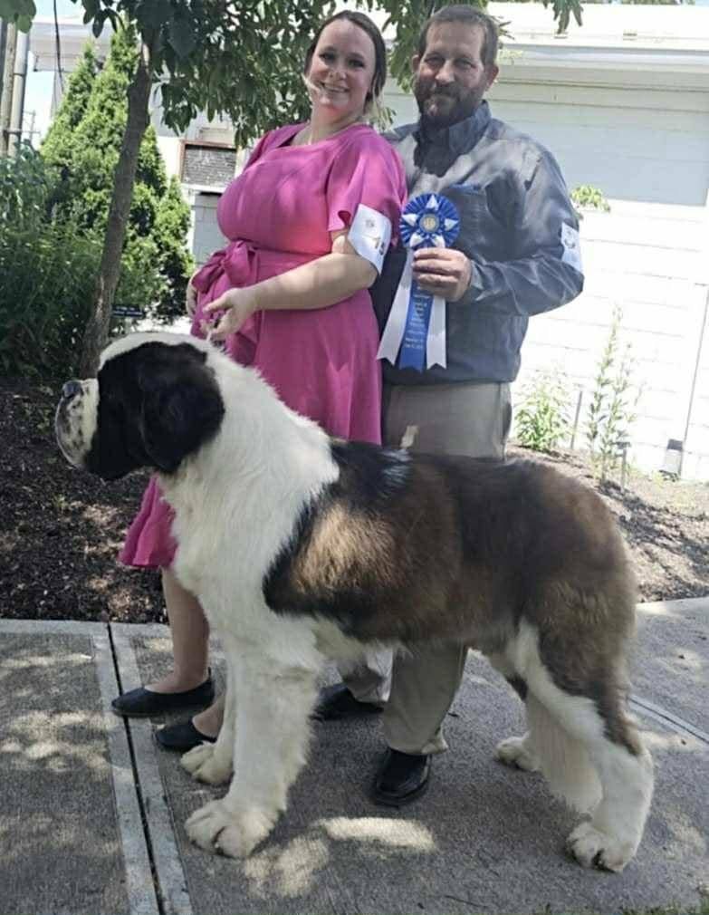 A woman in a pink dress, receiving an award ribbon from a man in a gray shirt, stands outdoors with a large Saint Bernard dog in front.