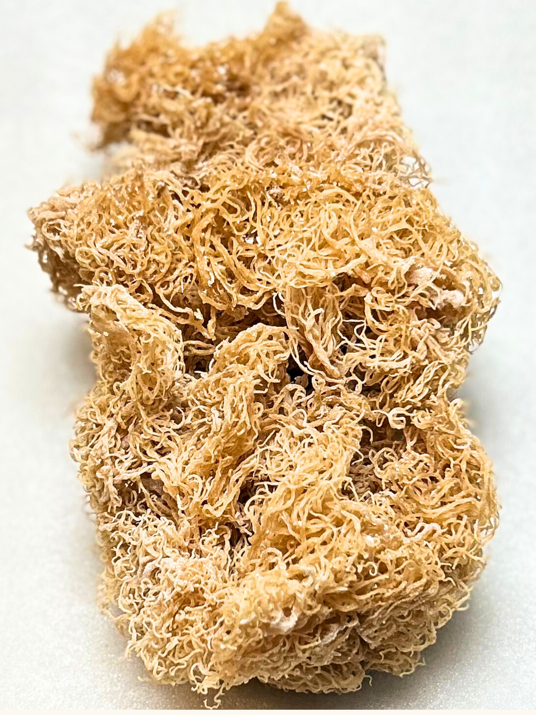 SEA MOSS GEL (8).png