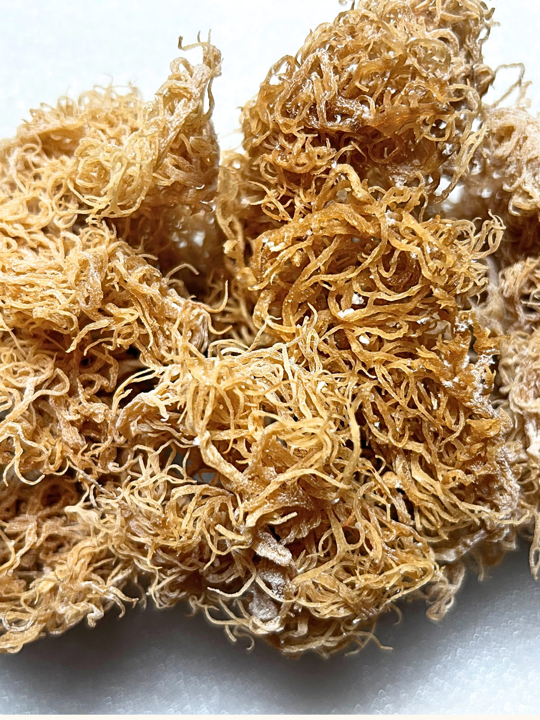 SEA MOSS GEL (9).png