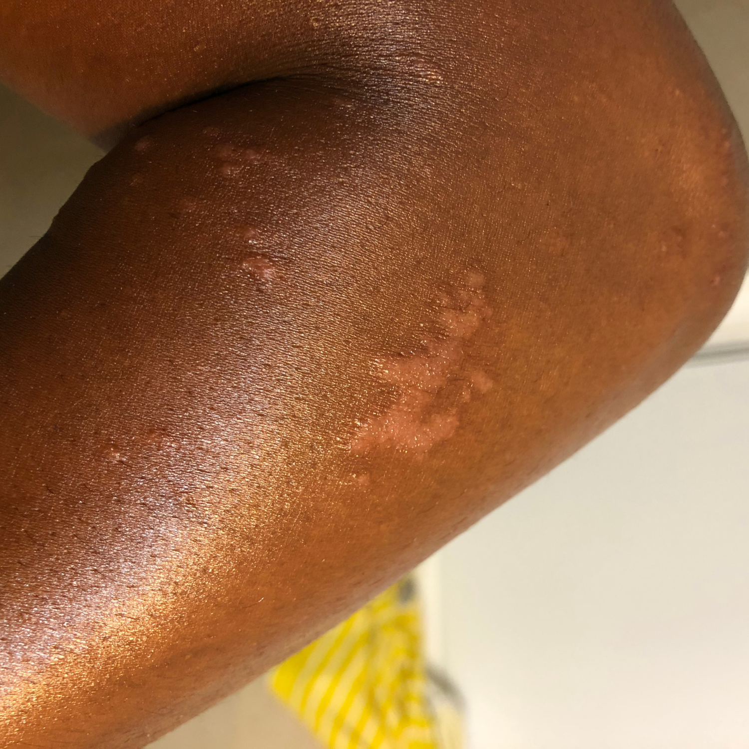 Copy of Day 1January 26, 2025 (2).png