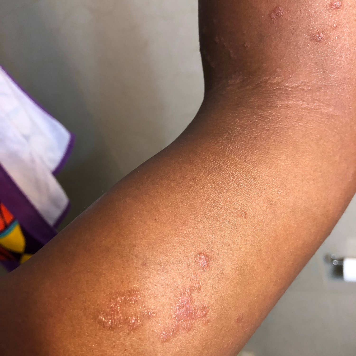 Copy of Day 1January 26, 2025 (4).png