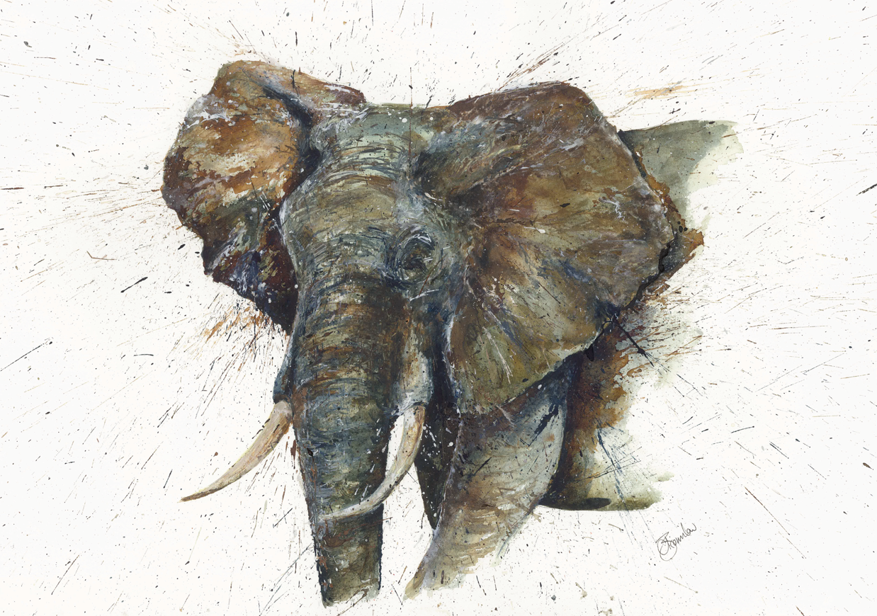 Elephant - Kenya Collection (A3)