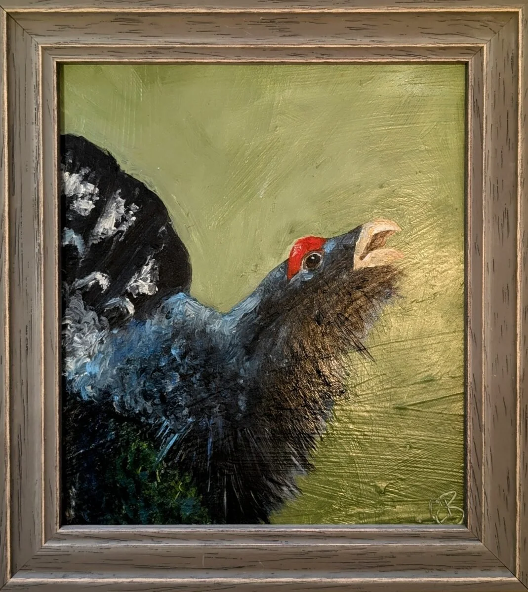 Capercaillie.jpg