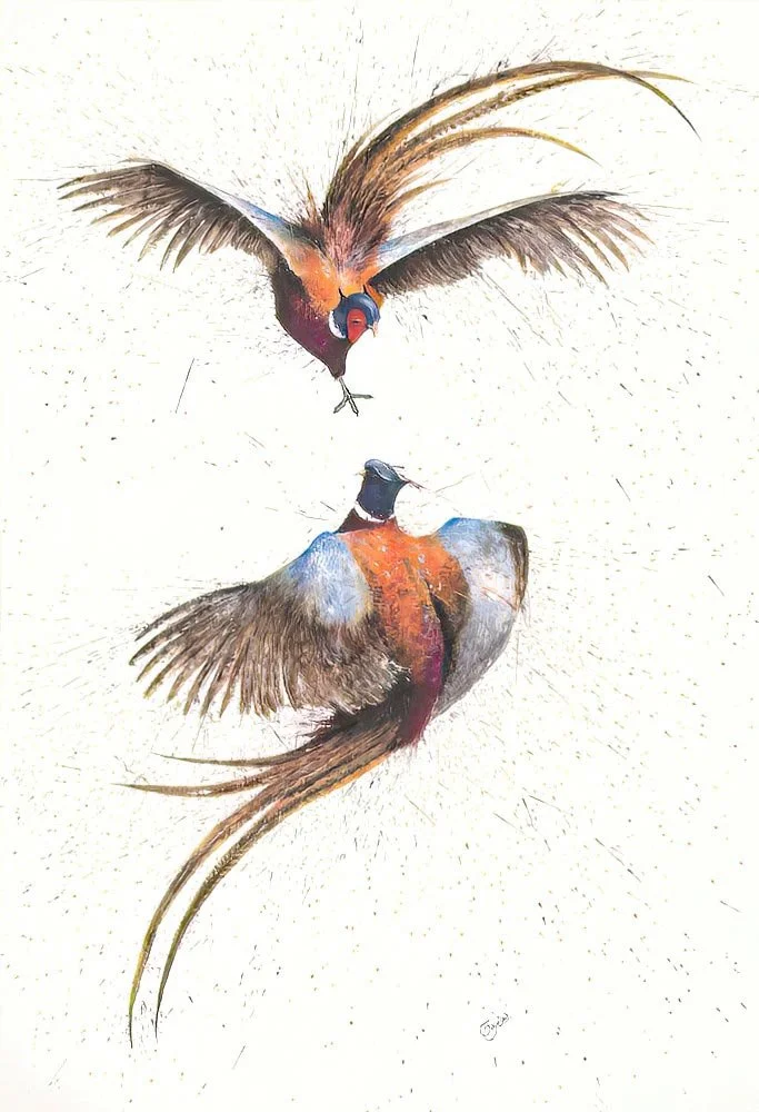 Pheasant Fight Club A2.jpg