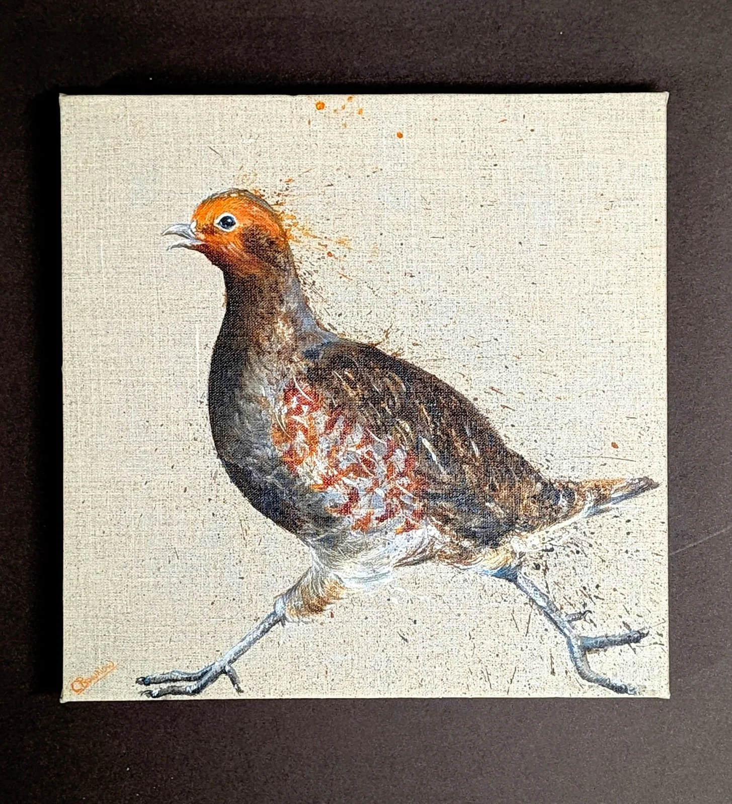 Running English Partridge