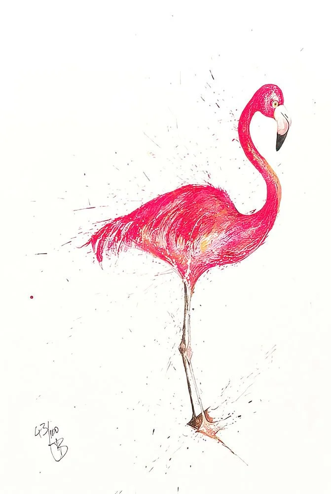 Flamingo Standing A4.jpg