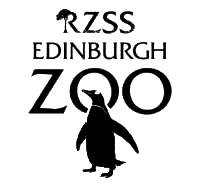  “Back in 2014 I was asked to paint a giant elephant statue for the elephant parade. It had to encompass the zoo. So I transformed him into “Bernard” (named by my small boys) into a penguin with a small chick on his leg. The penguin parade at Edinbur