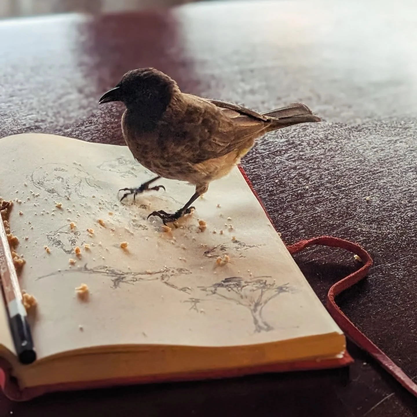 In the studio going through all my sketches and sketch book from the most INCREDIBLE trip of my life to @wizs_camp 

I will be sending out a mail shot over the next few days with some sketches from my trip so please sign up to my news letter on my ne