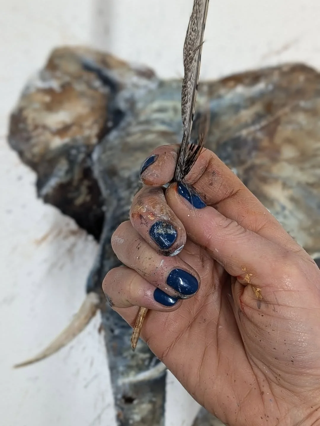 a sneaky shot! 

Why do I ever bother doing my nails?!

working on new prints for you wonderful lot! COMING SOON!!!

#manicure #elephant #kenya #safariart #limitededitionprint