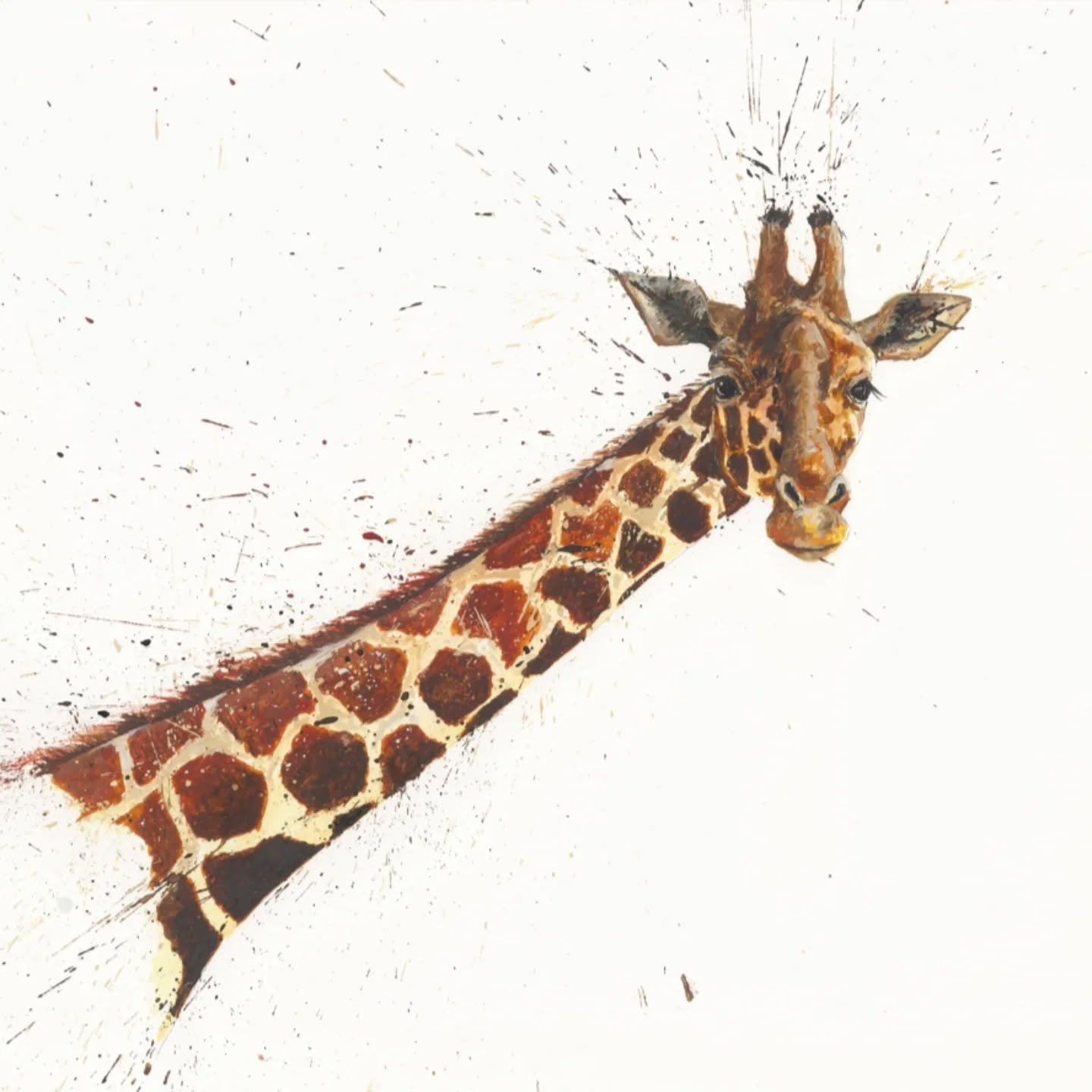 THEY ARE HERE!!!

So excited to show you my latest collection of limited edition prints that are now live on my website. 

All can be hand finished and having sent to my mail shot a couple of days ago and the orders are already piling up! THANK YOU! 