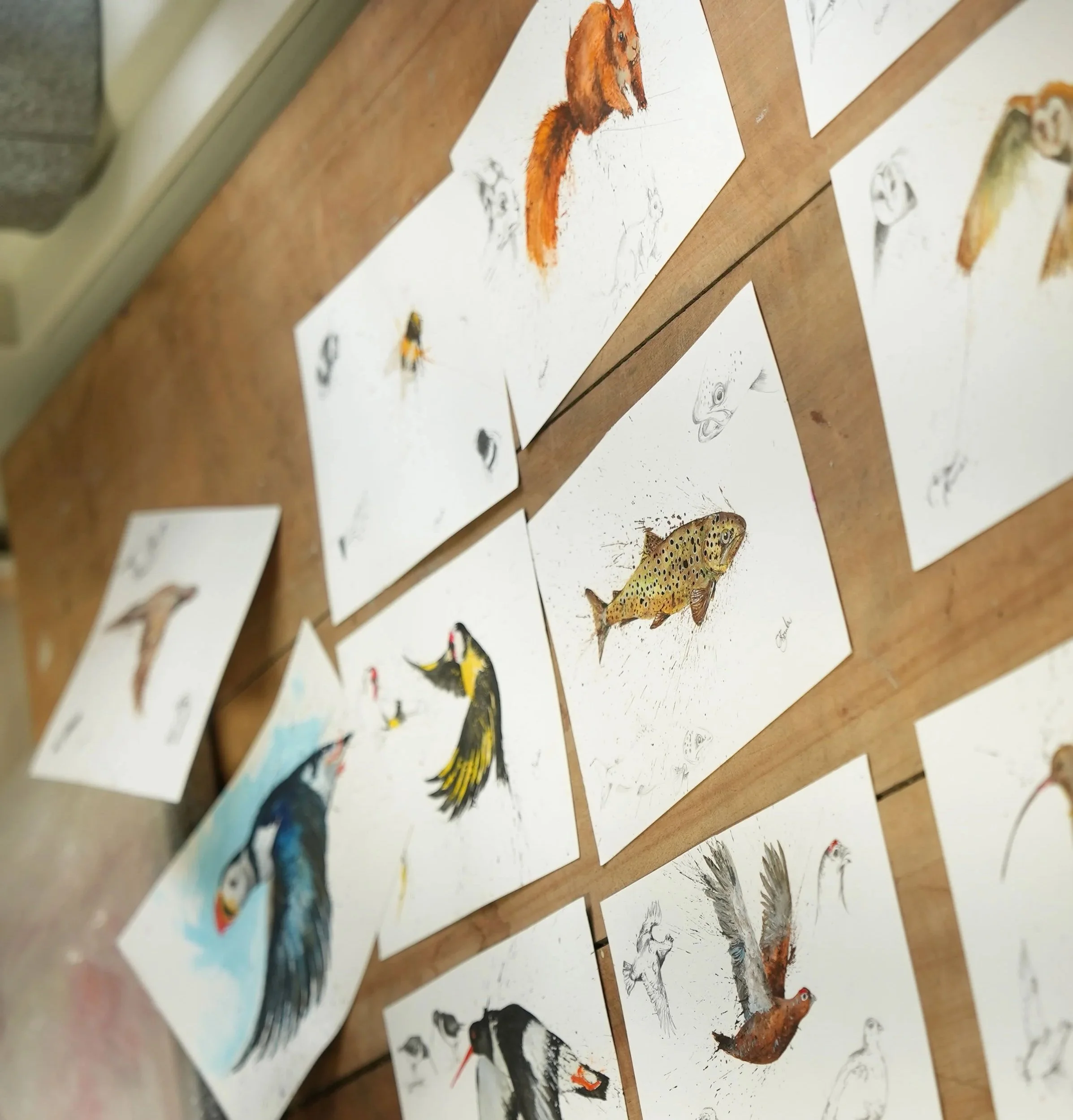 wildlife-artwork.jpg
