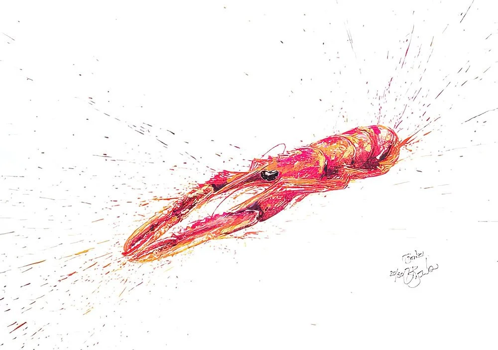 Langoustine A3.jpg