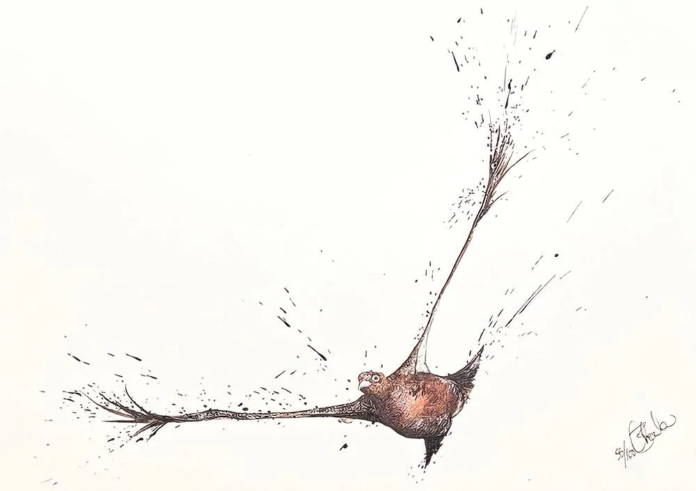 Flying Grouse .jpg