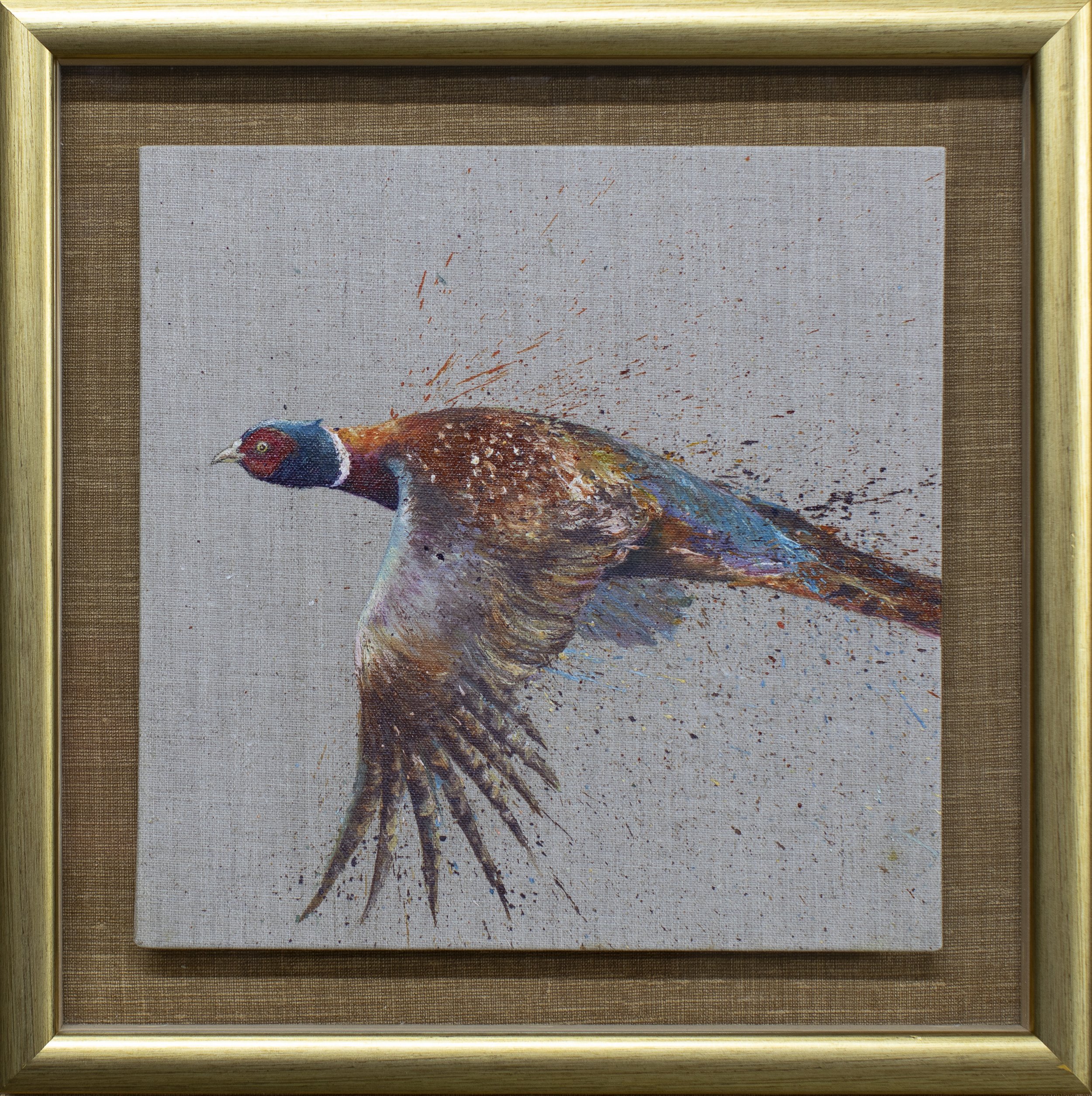 Flying Pheasant