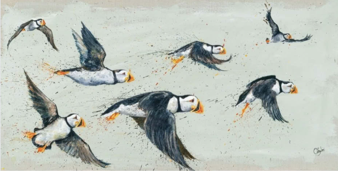 Puffins In Flight.png