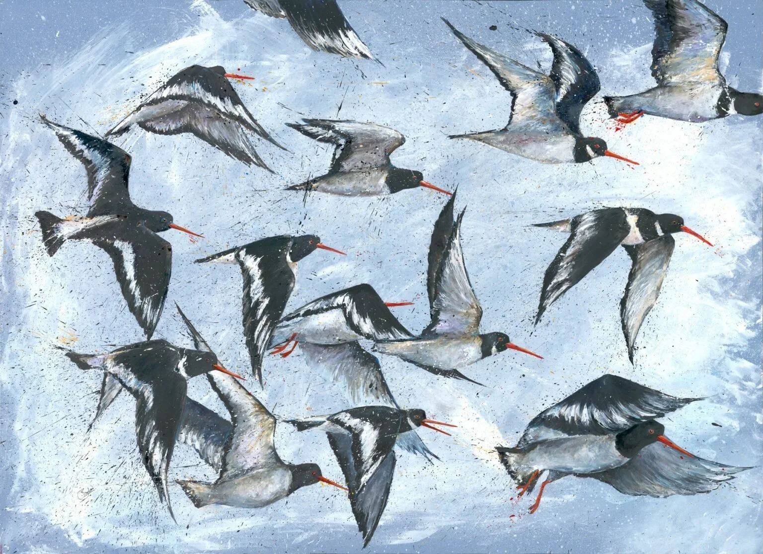 Oyster-catchers-1536x1116.jpeg