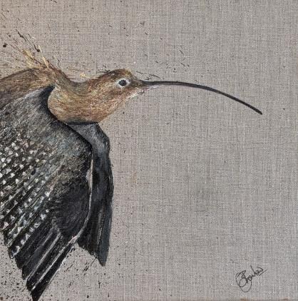 Curlew Portrait.png