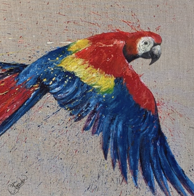 Red Macaw.png