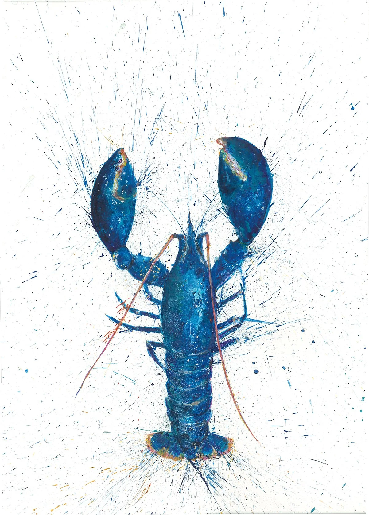Blue Lobster A Lo.jpg
