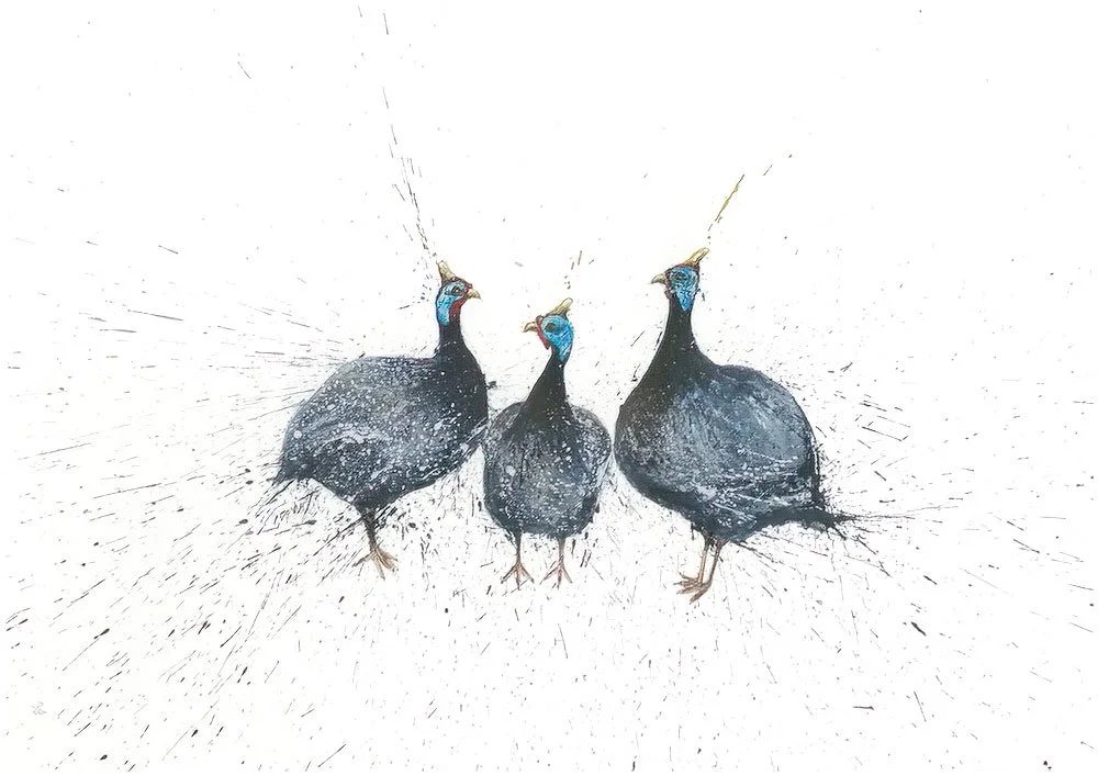 Confusion-of-Guineafowl-A3.jpg