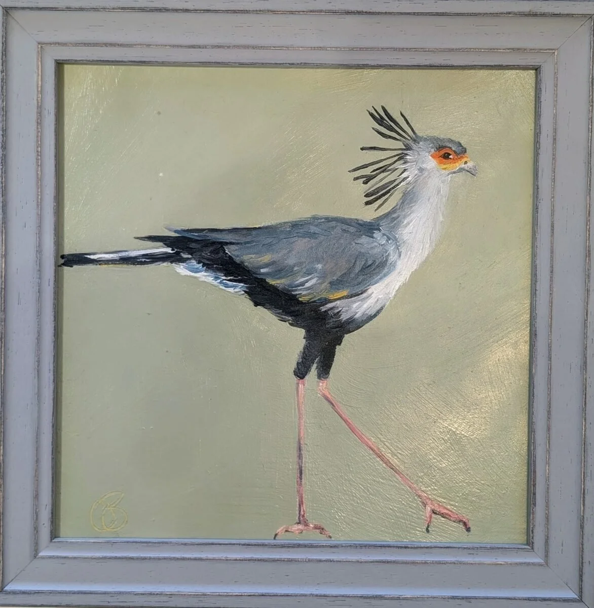 Secretary Bird.jpg